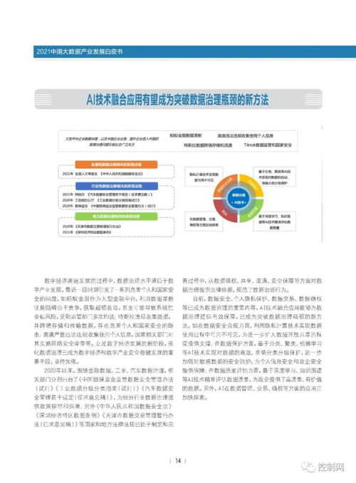 洞見(jiàn)未來(lái) 2021中國(guó)大數(shù)據(jù)產(chǎn)業(yè)發(fā)展白皮書(shū)之基礎(chǔ)軟件服務(wù)深度解析